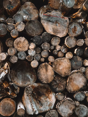 UŽ KĄ VERTINAMA DEGINTA MEDIENA?