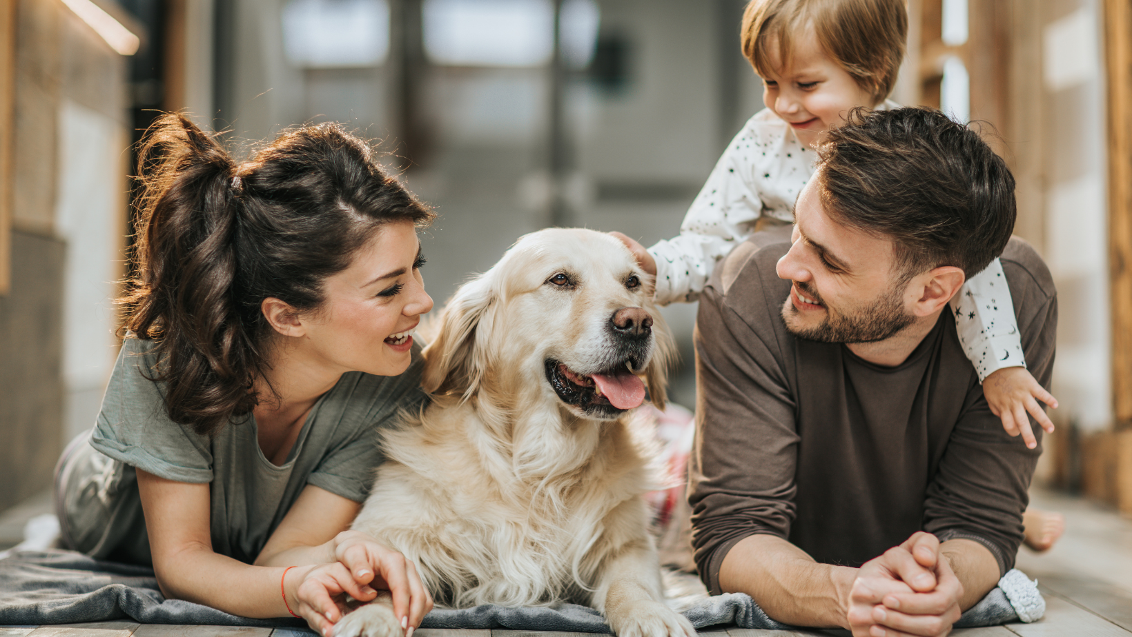 Požymiai, kurie rodo, kad Jūsų šuo serga. Konsultuoja veterinaras