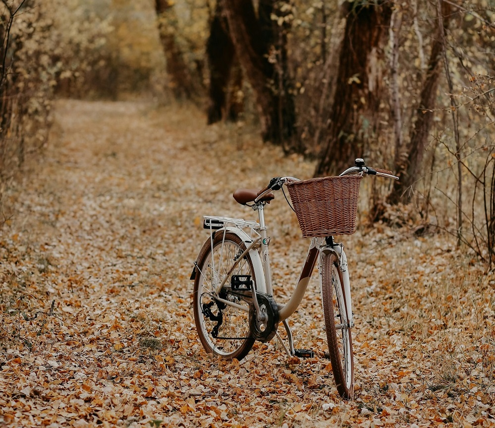 Kaip paruošti savo dviratį rudens sezonui