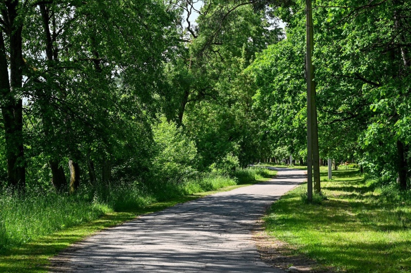 Panevėžyje modernizuojamas dviračių takas link Berčiūnų