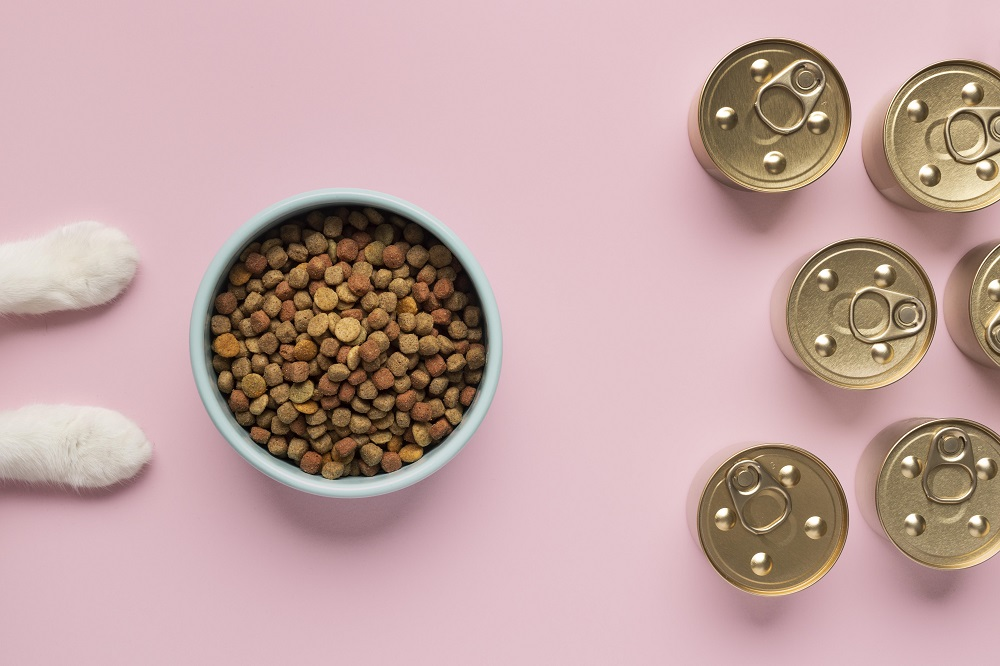Kačių sausas ar šlapias maistas: kuris yra geriausias jūsų augintiniui?
