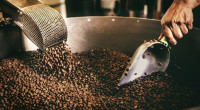 Kavos pupelių kaina: šią lemiantys faktoriai ir praktiški patarimai, norintiems sutaupyti