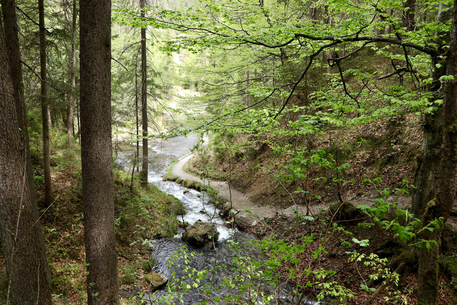 Birštono žavesys: kur gamta susitinka su gerovės kultūra