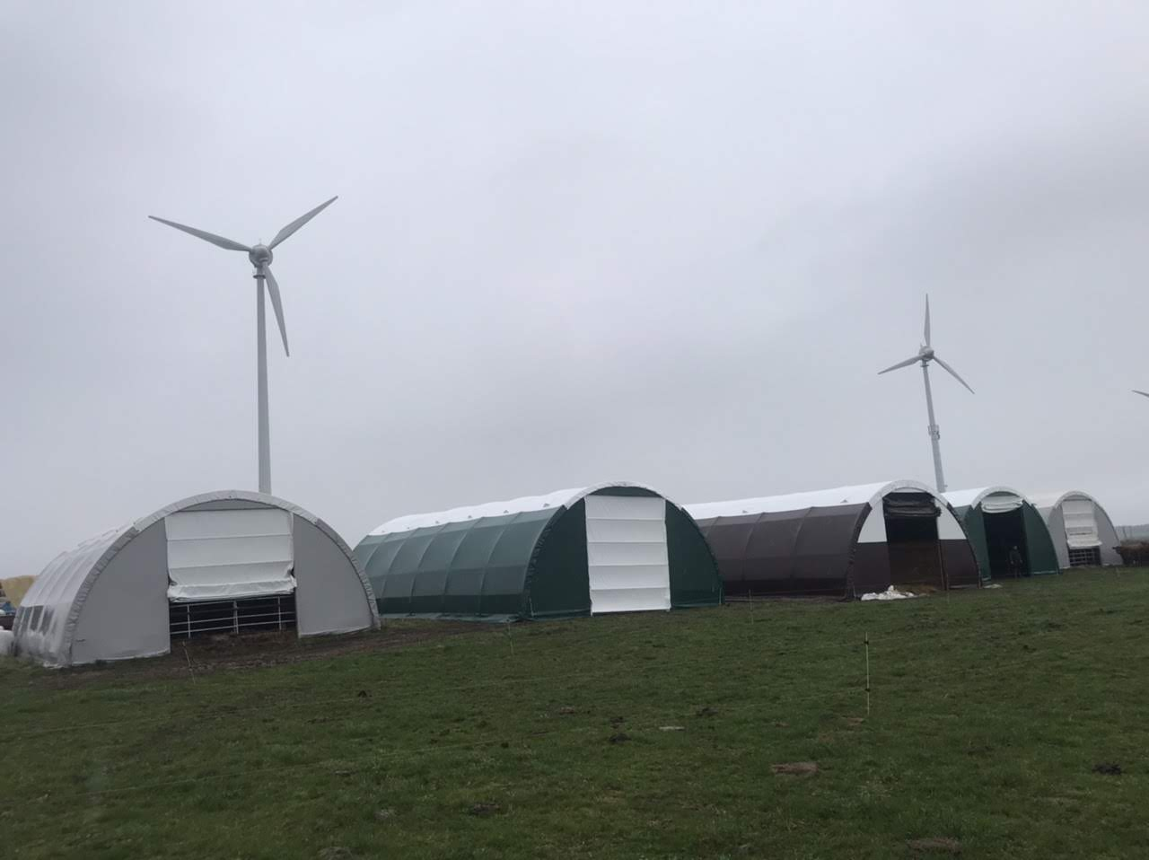 Kaip užtikrinti langų ilgaamžiškumą?