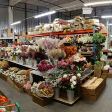 R. Kielos IĮ "Širšė"