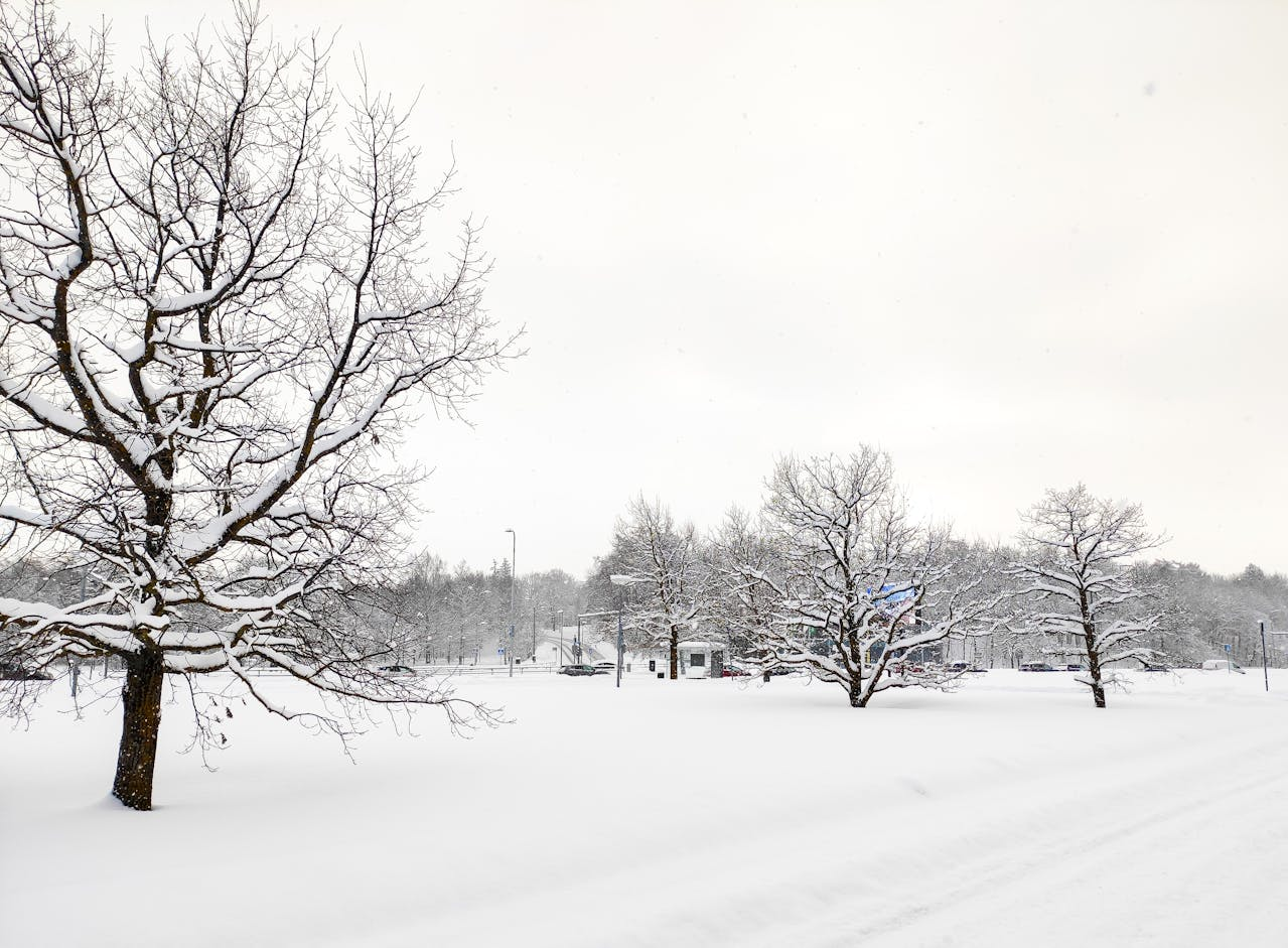 Lietuvą užklojęs sniegas sukėlė rimtų padarinių: draudikai įvardija labiausiai nukentėjusius miestus ir rajonus