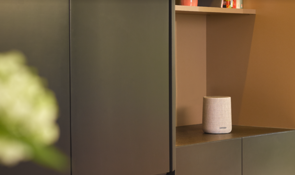 Garsas, keliaujantis paskui jus: renkamės belaidę garso kolonėlę