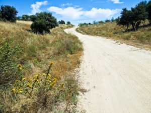 Ūkininkai toliau aktyviai investuoja į plėtrą