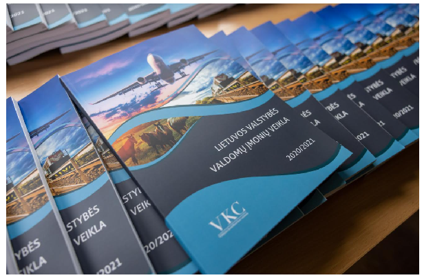 Pandemijos iššūkius atlaikiusios VVĮ pernai dirbo pelningai