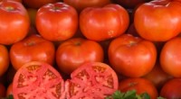 Agronomė: „darže“ ant palangės galima užsiauginti įvairių daržovių