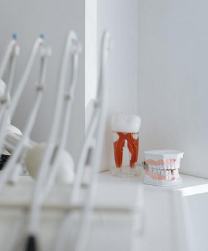 Dantų protezų tipai